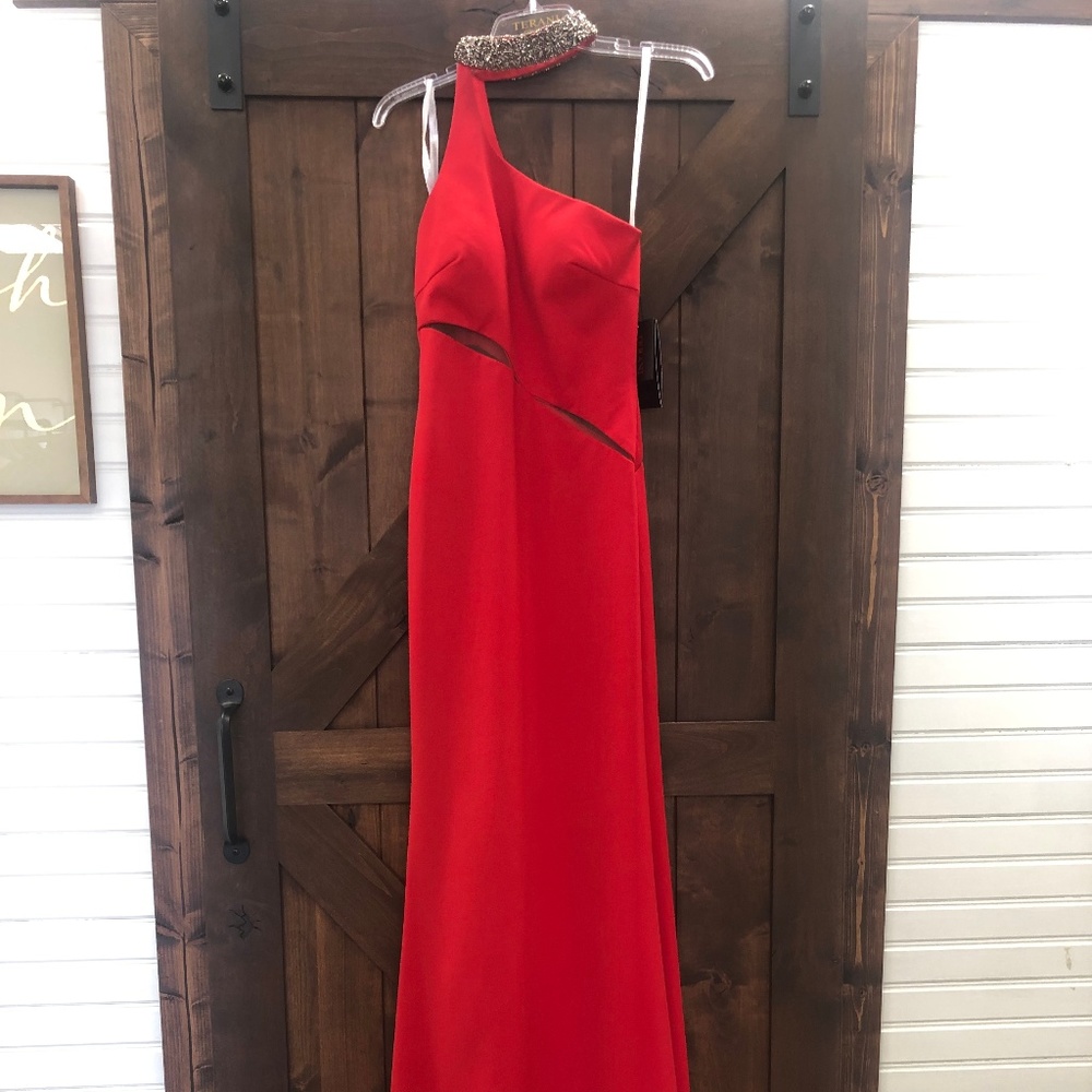 Terani Dress